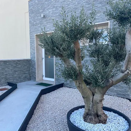 Borgo Terra Village 假日公园 2*