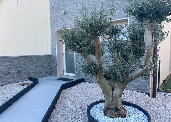 Borgo Terra Village Parque de vacaciones 2*